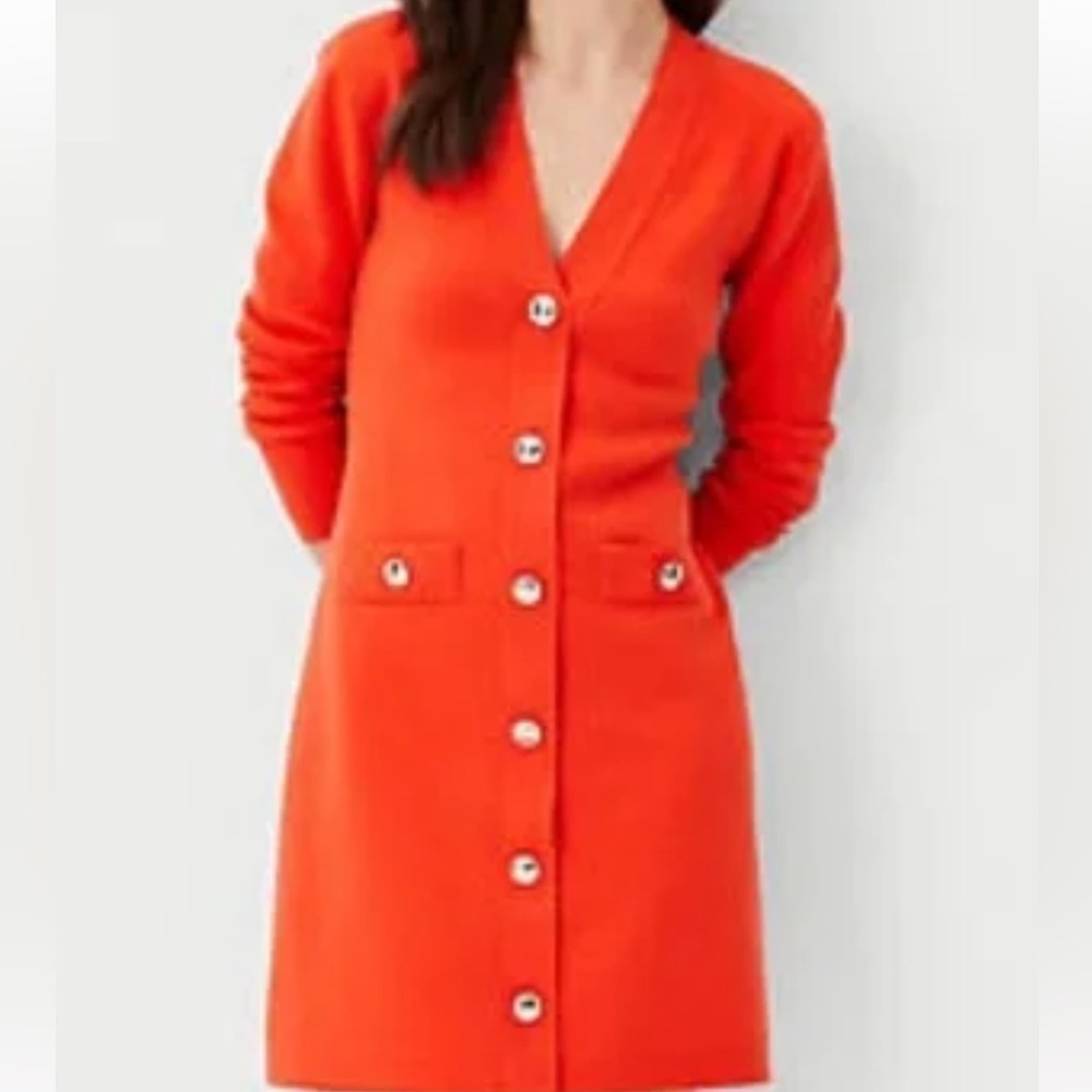 Ann Taylor Sweater Dress